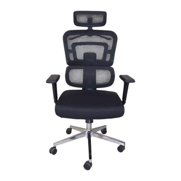 Dream Home192H Ergonomic Office Chair, Adjustable Headrest with 2D Armrest, Lumbar Support and PU Wheels, Swivel Computer Task Chair for Office